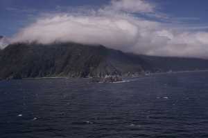 FIORDLAND-NATIONAL-PARK-2019 (212)
